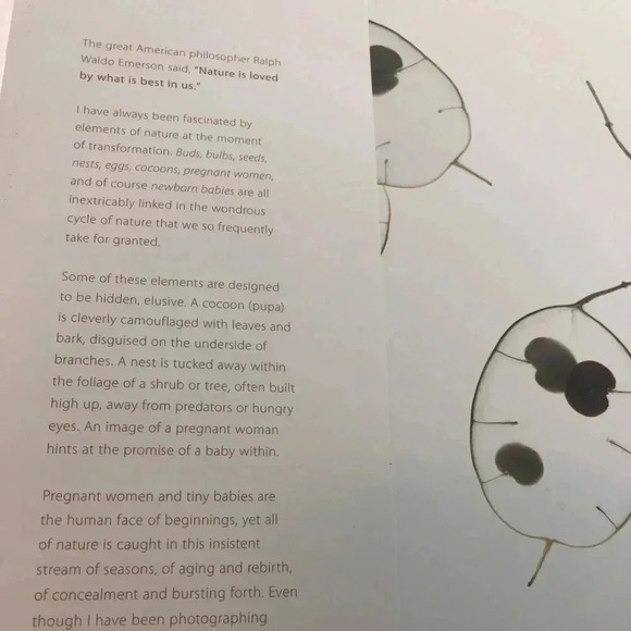 Coffee Table Book ANNE GEDDES Beginnings Nature Transformation Babies Pregnancy - Picture 4 of 7